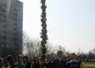 05.04.2009 r. - Niedziela Palmowa w Katedrze Rzeszowskiej - nasze KSM też tam było