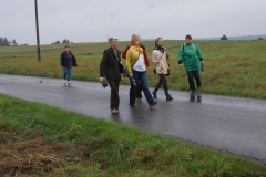 cr113