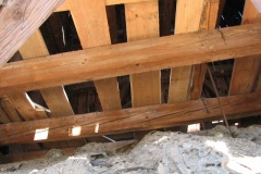 bl011