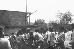 af005